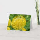 Search for south africa cards Flowers