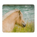 Search for fjord horse Norway