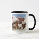Search for british columbia mugs Outdoors