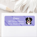 Search for mountain dog return address labels Bernese