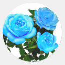 Search for blue rose stickers Classic