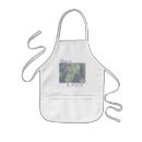 Search for rays aprons Abstract