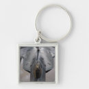Search for f 2 key rings Airborne