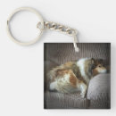 Search for rough collie accessories Animals