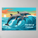 Search for turks and caicos art Ocean