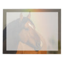 Search for rainbow notepads Horse