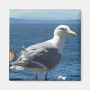 Search for sounding photography Puget sound