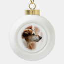 Search for jack russell dog christmas tree decorations Cute
