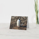 Search for antarctica christmas cards Penguin