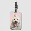 Search for mixed breed accessories Animal