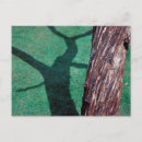 Search for dead tree postcards Nature