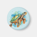 Search for turtle stuff magnets Sea life