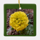 Search for solstice christmas tree decorations Green