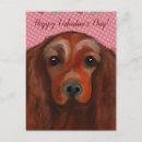 Search for setter postcards Irish red setter