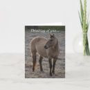 Search for loss of a horse cards Equine