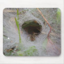 Search for arachnids electronics Web