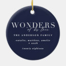 Search for wonderful christmas tree decorations Holidayz18