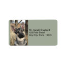 Search for german shepherds return address labels Puppy