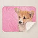 Search for corgi blankets Puppy
