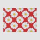 Search for white daisy tissue paper Modern