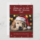 Search for funny pet christmas cards Snowflakes