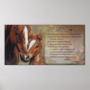 Search for innocent posters Foal