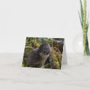 Search for scotland birthday cards Animals