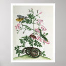 Search for graff posters Merian