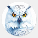 Search for owls eyes stickers Wildlife