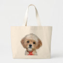 Search for cavapoo accessories Cavalier