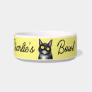Search for big pet supplies Cats