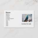 Search for aviary business cards Breeder