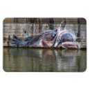 Search for big fish magnets Funny