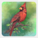 Search for northern red cardinals stickers Watercolor