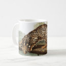 Search for ocelots mugs Wildlife