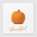 Search for pumpkin magnets White