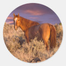 Search for alertness stickers Animal