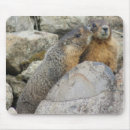 Search for squirrel lover mousepads Nature