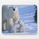 Search for wildlife mousepads White