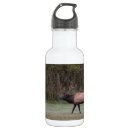 Search for bull water bottles Wildlife