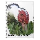 Search for security photography Funny
