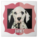 Search for photo frame tiles Pattern