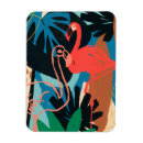 Search for funky magnets Flamingo