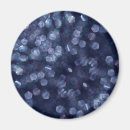 Search for light blue magnets Trendy