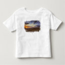 Search for erosion Scenic
