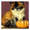 Search for ragdoll cat art Himalayan