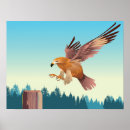 Search for eagle feathers posters Predator