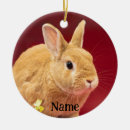 Search for mammal christmas tree decorations Baby