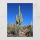 Search for 1 postcards Photography
