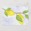 Search for tree branches postcards Watercolor